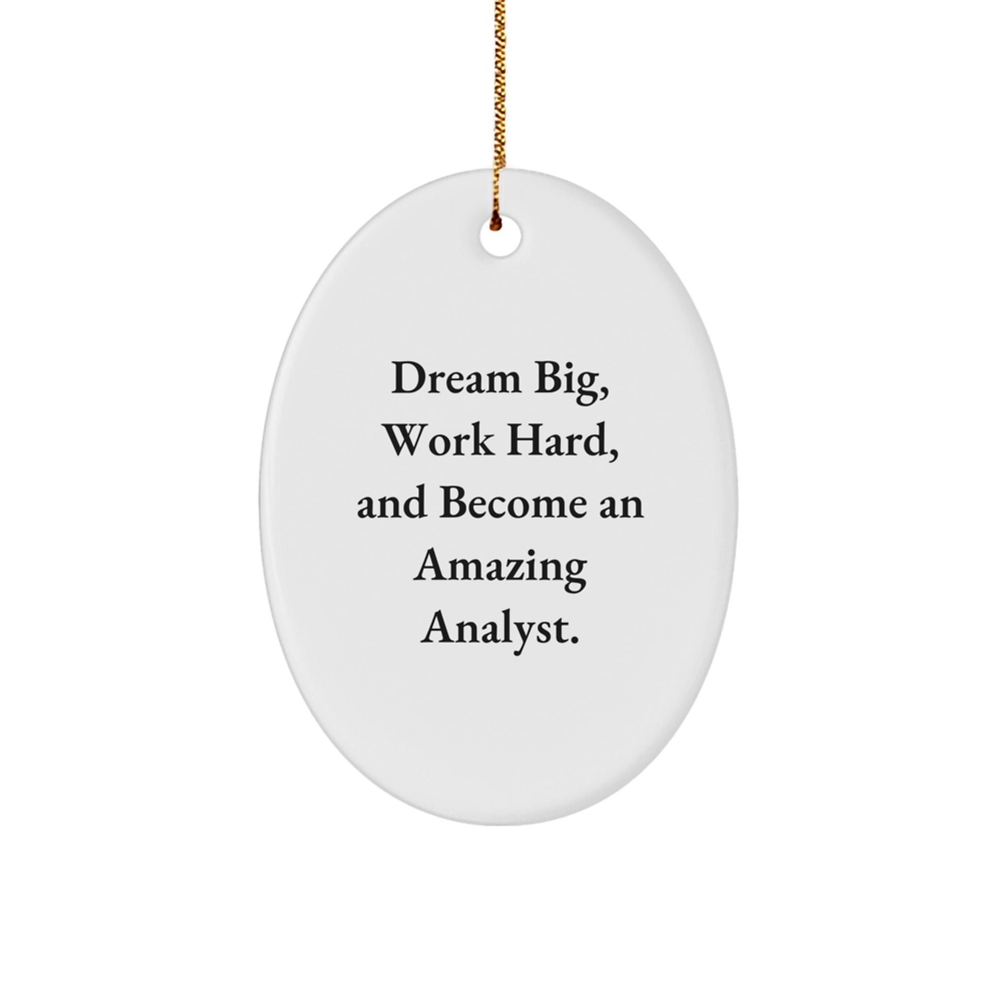 Gifts from Friends and Family for the Amazing Analyst Oval Ornament - Dream Big, Work Hard - Inspirational Christmas Unique Gifts for Men and Women - Image 1