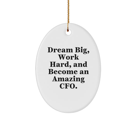 Funny CFO Gifts for Men - Oval Ornament 'Dream Big, Work Hard' Christmas Unique Presents from Friends to Family - Image 1