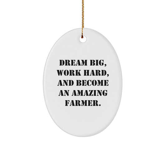 Funny Farmer Gifts from Friends for Christmas Unique Oval Ornament Dream Big - Image 1