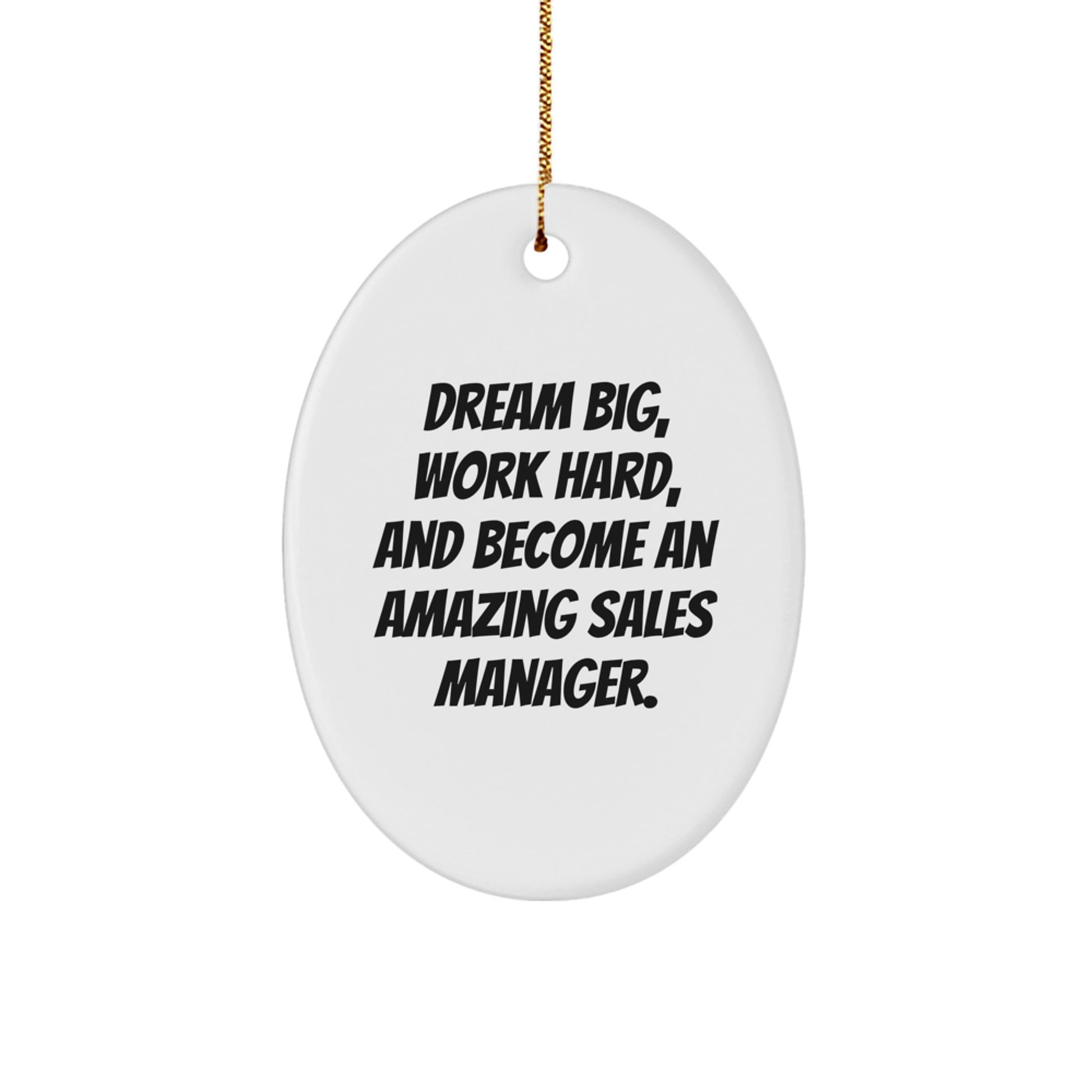 Gifts from Friends and Family for Sales Manager Christmas Unique Inspirational Oval Ornaments with 'Dream Big, Work Hard, And Become An Amazing Sales Manager.' Quote - Image 1