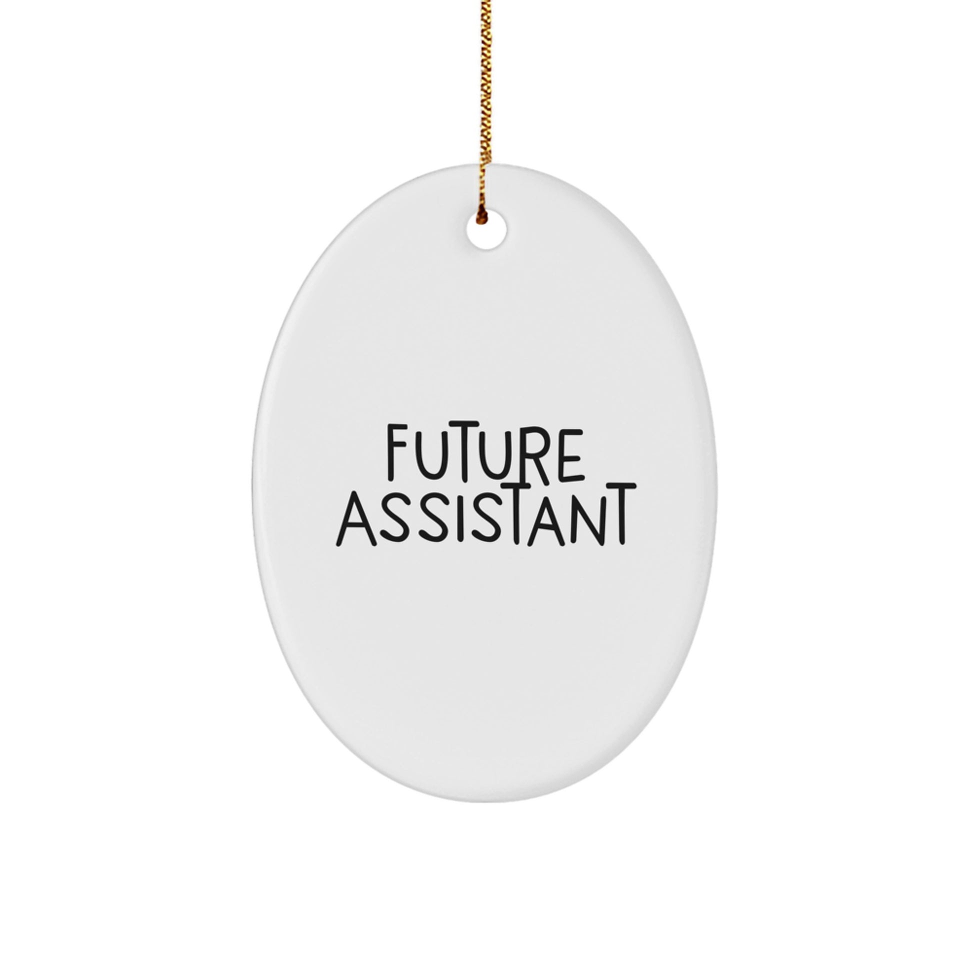 Funny Future Assistant Oval Ornament Gifts for Assistant from Friends at Christmas Time, Christmas Unique Gifts for Future Assistant, Assistant Christmas Tree Ornament - Image 1
