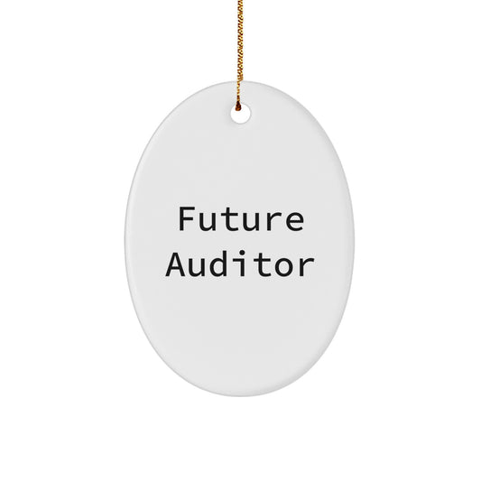 Funny Auditor Gift for Future Auditor Friends and Family, Oval Ornament Christmas Unique Gifts from Men to Auditor, Auditor Oval Ornament - Image 1