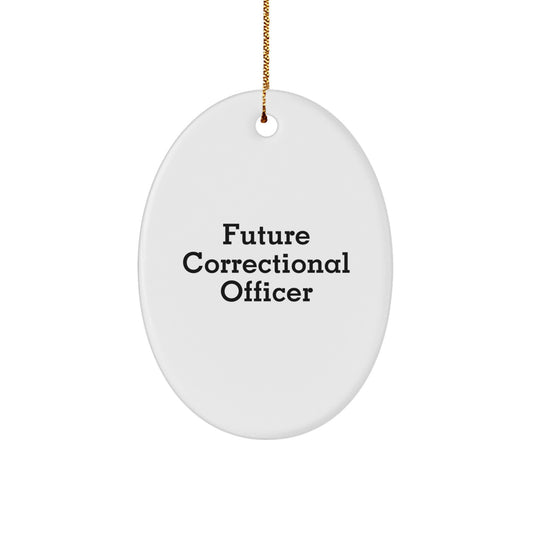Funny Correctional Officer Gifts for Men Christmas Unique Oval Ornaments with Future Correctional Officer Quote Gifts from Men - Image 1