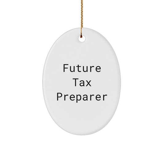 Funny Future 'Dream Big' Tax Preparer Oval Ornament Gifts from Friends for Men and Women - Image 1