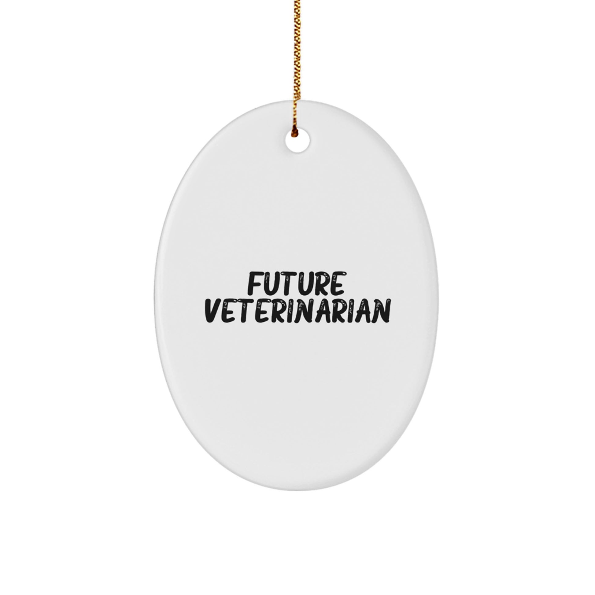 Funny Future Veterinarian Oval Ornament Gifts from Family, Friends, Coworkers, or Men to Women, Men, Veterinarian, or Friends on Christmas Unique Gifts - Image 1
