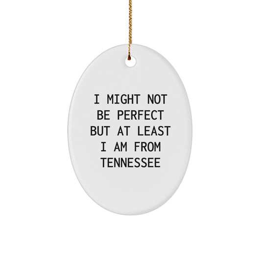 Him Keepsake Tennessee Christmas Ornament I Might Not Be Ideal Gift - Image 1