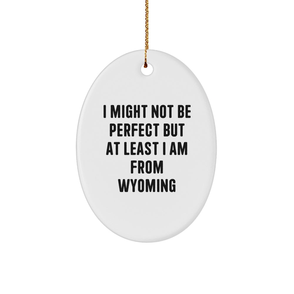 Wyoming Oval Ornament Gifts from Friends for Christmas - 'I Might Not Be Perfect' - Unique Decorations - Image 1