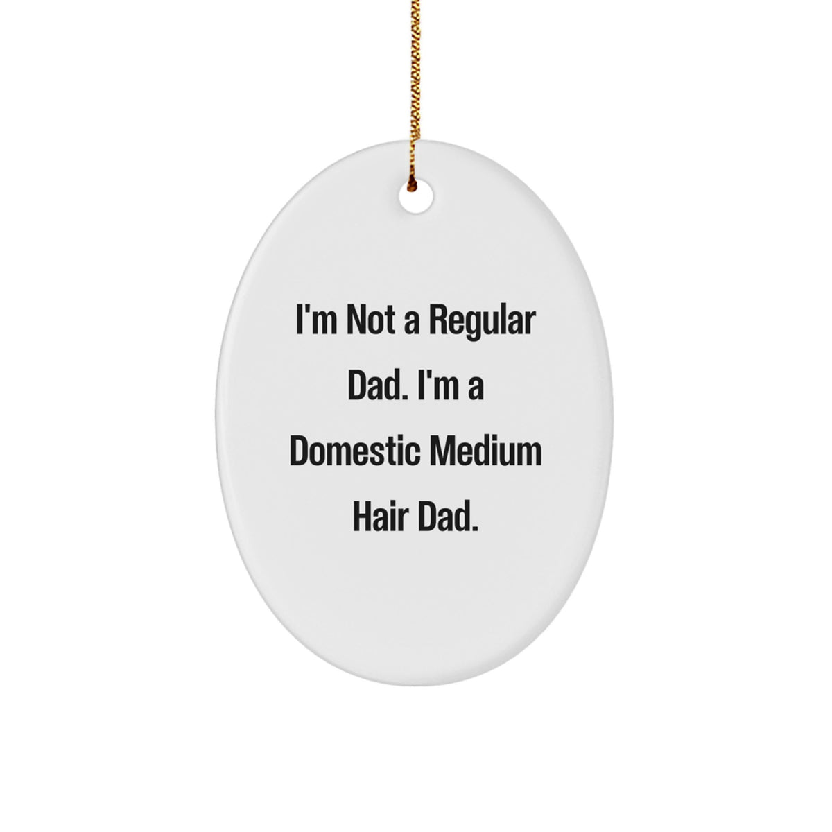 Funny Domestic Medium Hair Cat Gifts for Men - Christmas Unique Oval Ornament, Gifts from Dad, 'I'm Not A Regular Dad...' - Image 1