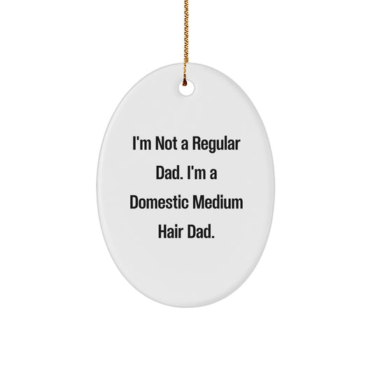Funny Domestic Medium Hair Cat Gifts for Men - Christmas Unique Oval Ornament, Gifts from Dad, 'I'm Not A Regular Dad...' - Image 1