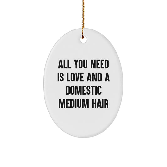 Domestic Medium Hair Cat Oval Ornament Gift for Cat Lovers Funny Quote Christmas Unique Gifts from Friends - Image 1