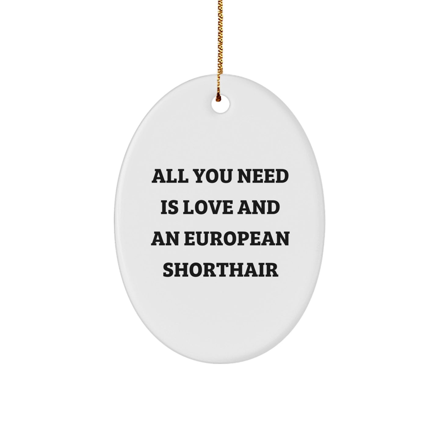 Funny European Shorthair Cat Lover Gifts from Women - Unique Oval Ornament for Home Christmas Decor - All You Need Is Love And An European Shorthair - Image 1
