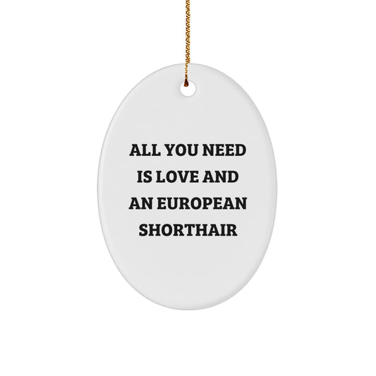 Funny European Shorthair Cat Lover Gifts from Women - Unique Oval Ornament for Home Christmas Decor - All You Need Is Love And An European Shorthair - Image 1