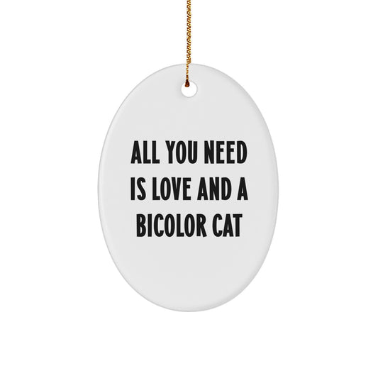 Funny Bicolor Cat Oval Ornament Gifts from Men to Family Members at Christmas Unique Festive Decorations - Image 1