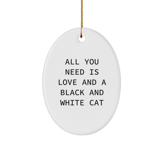 Funny Black and White Cat Gifts for Friends, Oval Ornament, Christmas Unique Presents from Lover to Family Member - Image 1