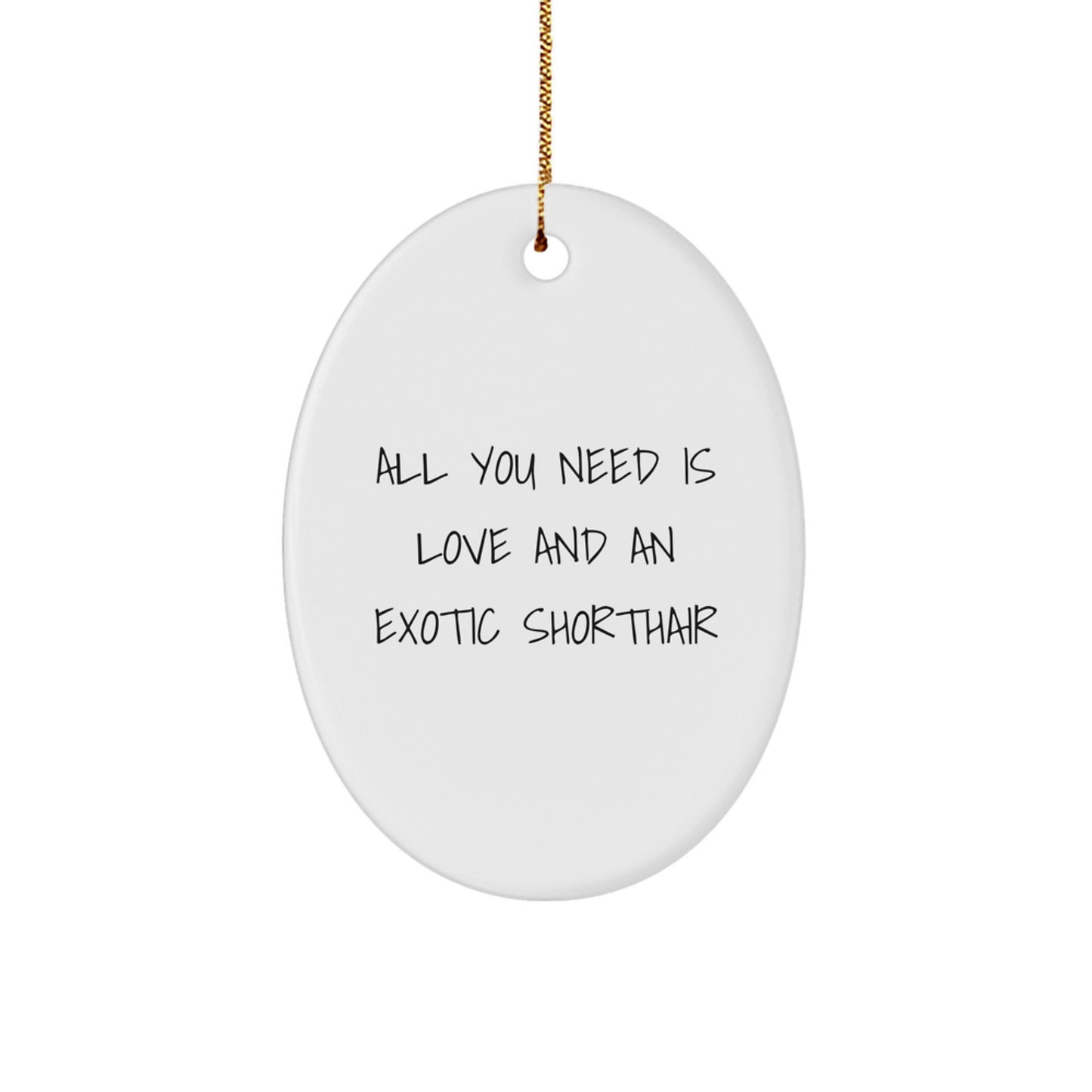 Funny Exotic Shorthair Cat Oval Ornament, Christmas Unique Gifts for Exotic Shorthair Cat Lovers, Gifts from Family to Exotic Shorthair Cat Owners - Image 1