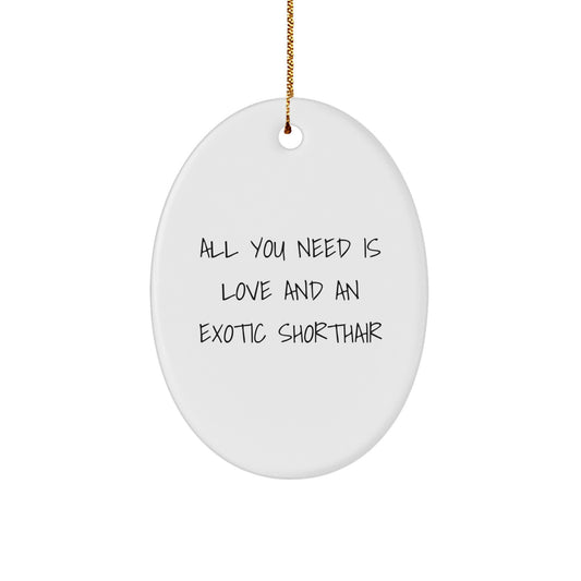 Funny Exotic Shorthair Cat Oval Ornament, Christmas Unique Gifts for Exotic Shorthair Cat Lovers, Gifts from Family to Exotic Shorthair Cat Owners - Image 1