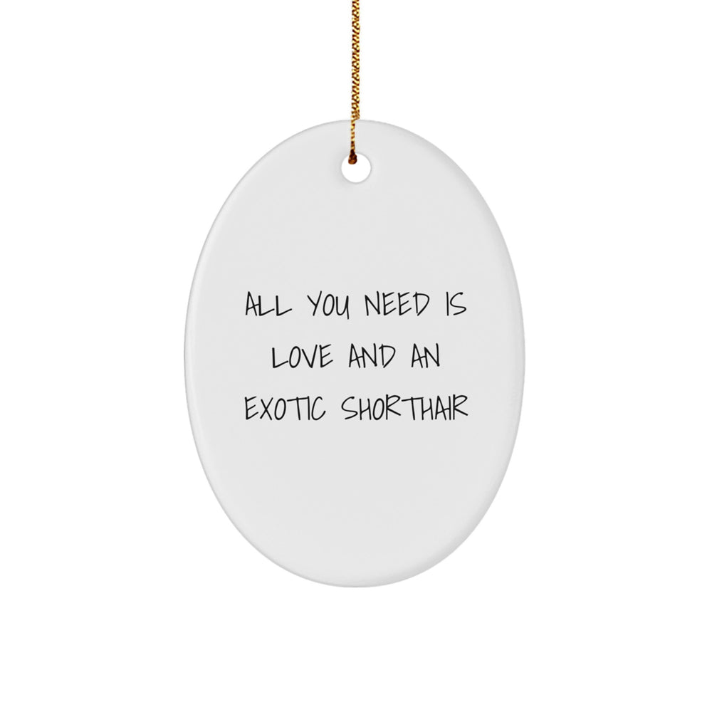 Funny Exotic Shorthair Cat Oval Ornament, Christmas Unique Gifts for Exotic Shorthair Cat Lovers, Gifts from Family to Exotic Shorthair Cat Owners - Image 1