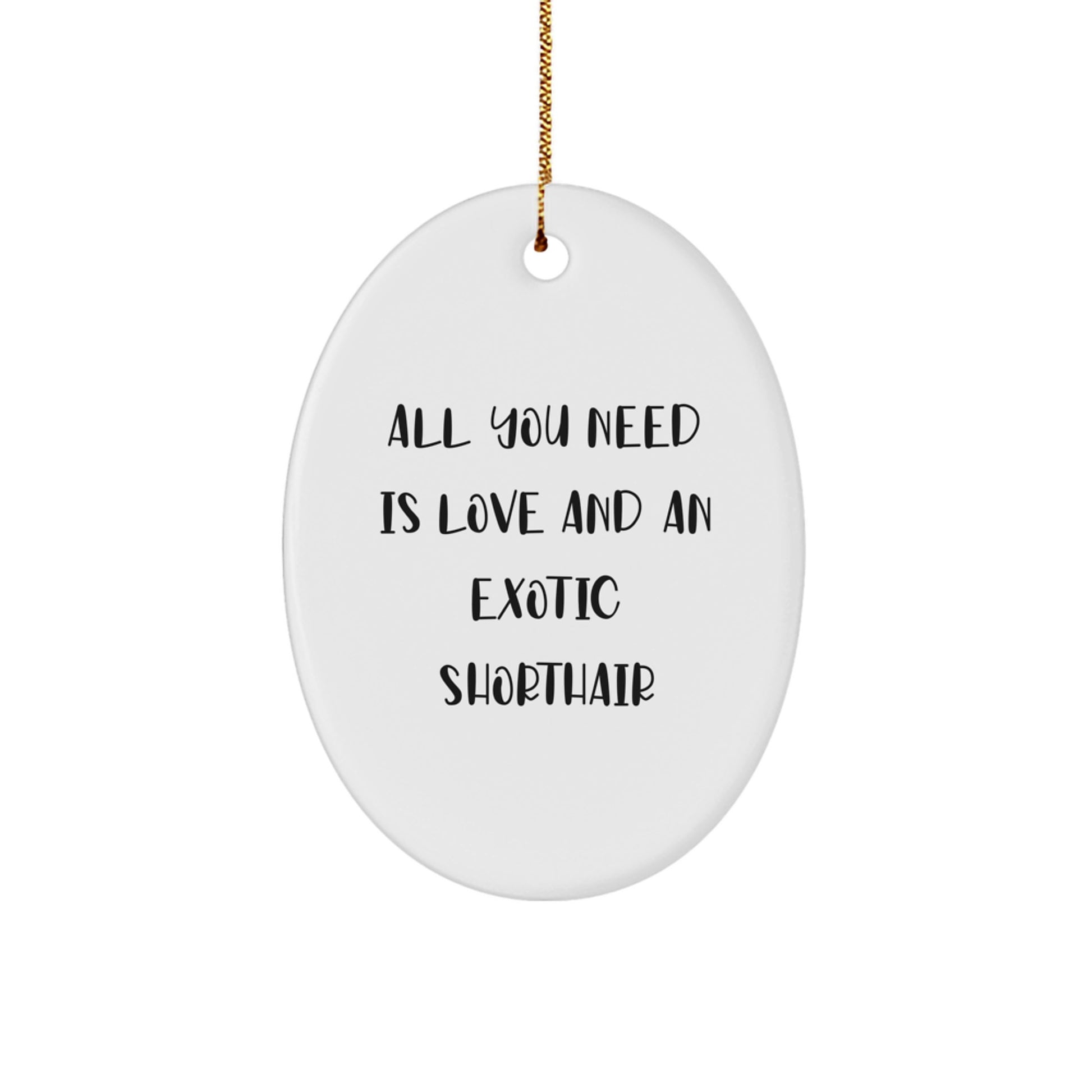 Exotic Shorthair Cat Lover Gifts, Oval Ornament with Funny Quote 'All You Need Is Love And An Exotic Shorthair', Christmas Unique Gifts from Friends to Family - Image 1