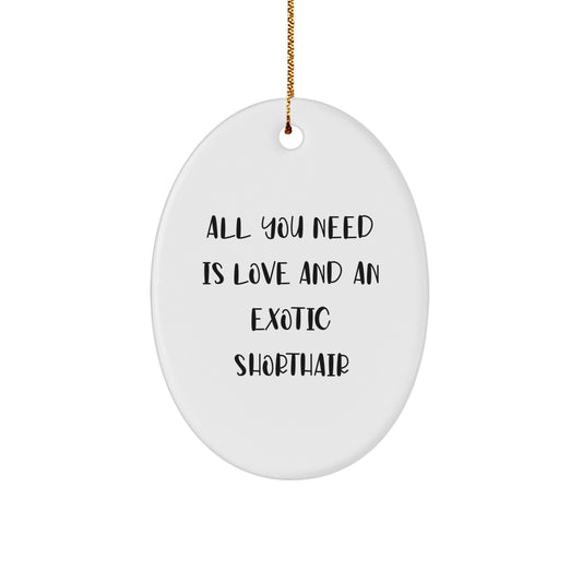 Exotic Shorthair Cat Lover Gifts, Oval Ornament with Funny Quote 'All You Need Is Love And An Exotic Shorthair', Christmas Unique Gifts from Friends to Family - Image 1