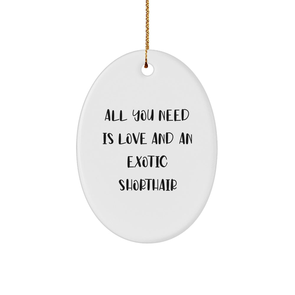 Exotic Shorthair Cat Lover Gifts, Oval Ornament with Funny Quote 'All You Need Is Love And An Exotic Shorthair', Christmas Unique Gifts from Friends to Family - Image 1