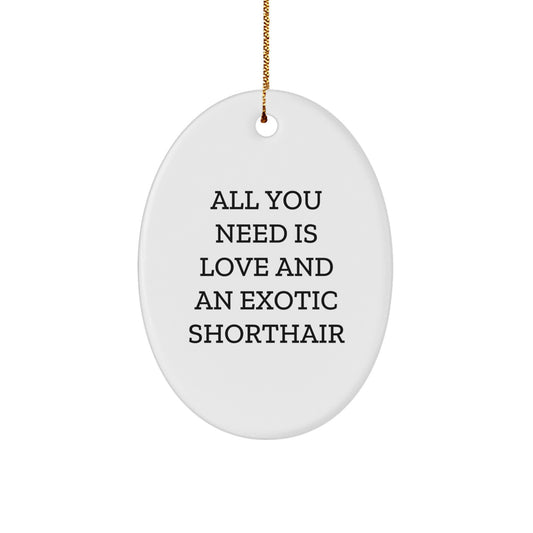 Funny Exotic Shorthair Cat Gifts for Christmas - Oval Ornament 'All You Need Is Love' - Unique Christmas Unique Gifts from Friends to Exotic Shorthair Cat Lovers - Image 1