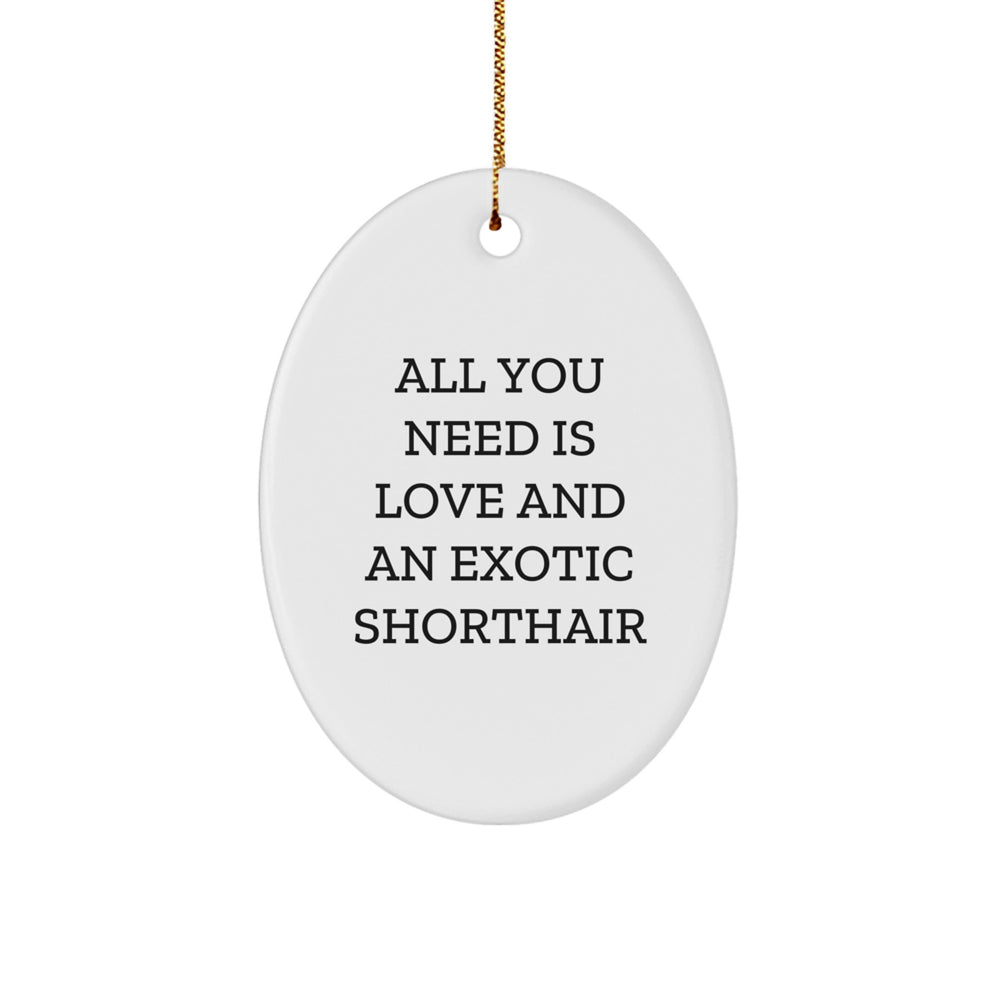 Funny Exotic Shorthair Cat Gifts for Christmas - Oval Ornament 'All You Need Is Love' - Unique Christmas Unique Gifts from Friends to Exotic Shorthair Cat Lovers - Image 1