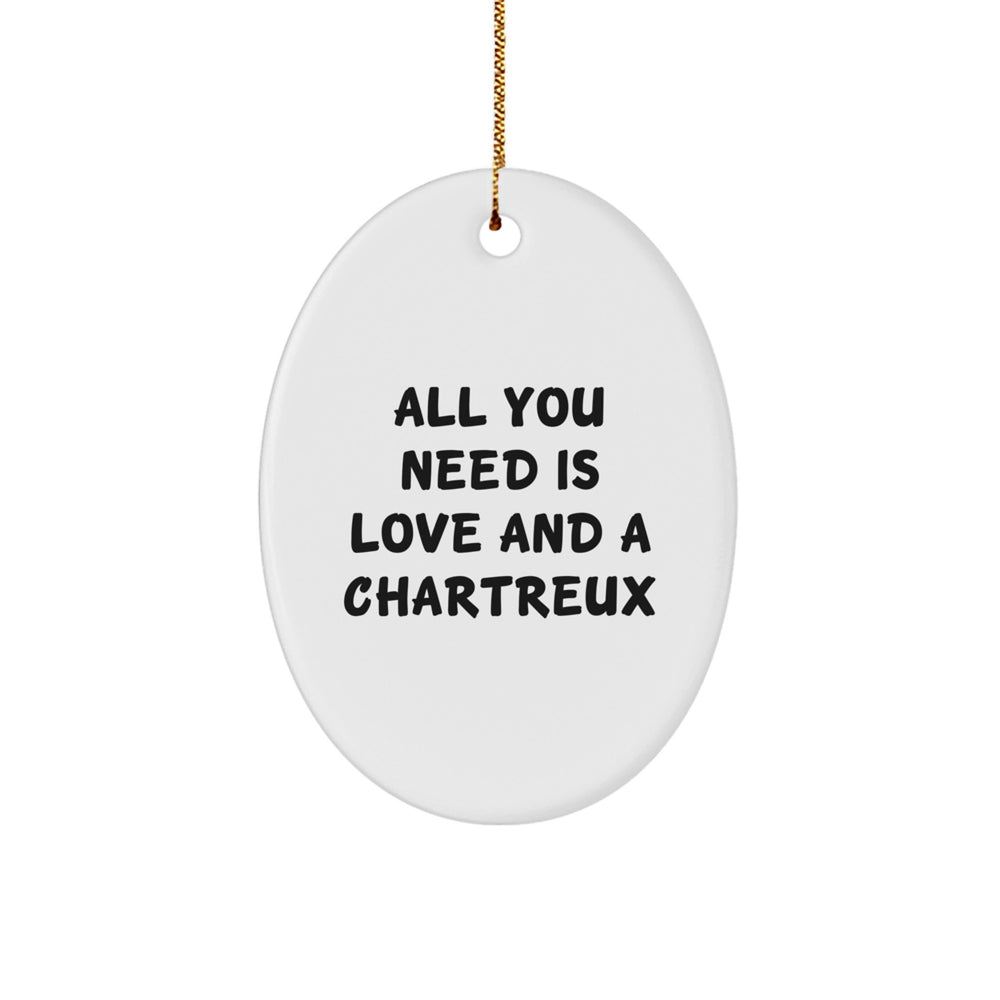 Chartreux Cat Oval Ornament Gifts from Friends and Family for Christmas Unique Inspirational Gifts - Image 1