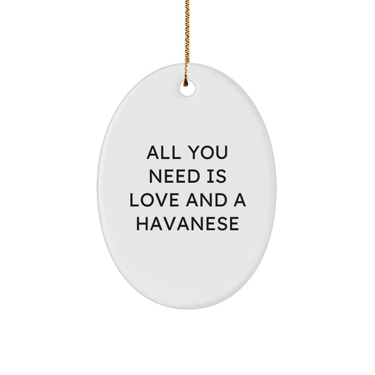 Funny Havanese Dog Gifts for Friends and Family - Oval Ornament with All You Need Is Love And A Havanese Quote - Christmas Unique Gifts from Men and Women - Image 1