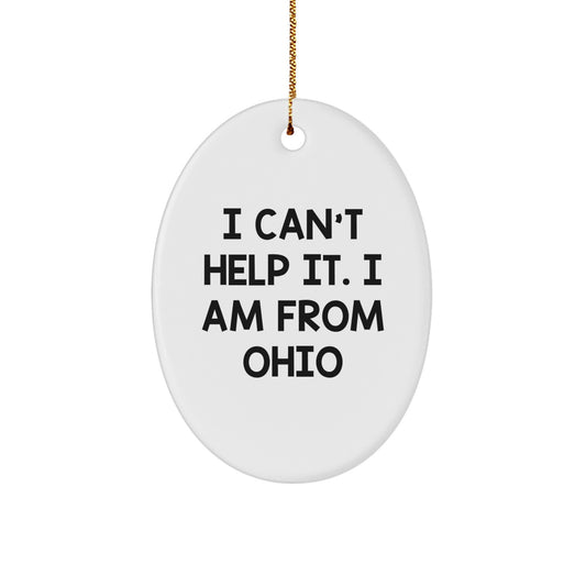 Ohio Christmas Oval Ornament Quotes Funny Gifts from Friends Family Men Women - Image 1
