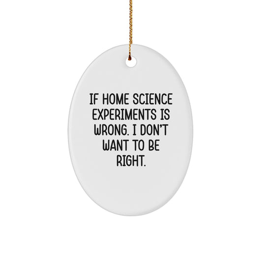 Funny Home Science Experiments Gifts for Men from Women, Oval Ornament with Inspirational Quote 'If Home Science Experiments Is Wrong. I Don't Want To Be Right.' Christmas Unique Gifts - Image 1