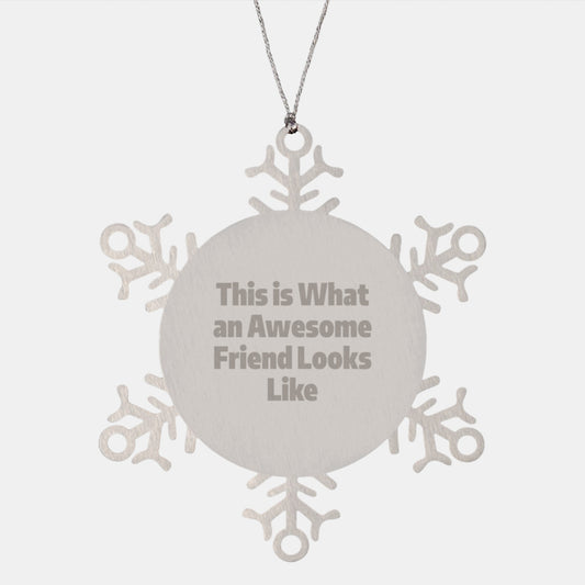 Funny Friend Gifts, Snowflake Ornament, This Is What An Awesome Friend Looks Like, Christmas Unique Gifts from Friends to Friends - Image 1