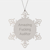 Load image into Gallery viewer, Funny Auditor Gifts, Snowflake Ornament for Auditor Friends, Christmas Unique Gifts from Men - Image 1
