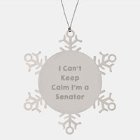 Load image into Gallery viewer, Funny Senator Gifts from Friends, Snowflake Ornament for Senator Men, I Can't Keep Calm I'm A Senator Christmas Unique Gifts - Image 1
