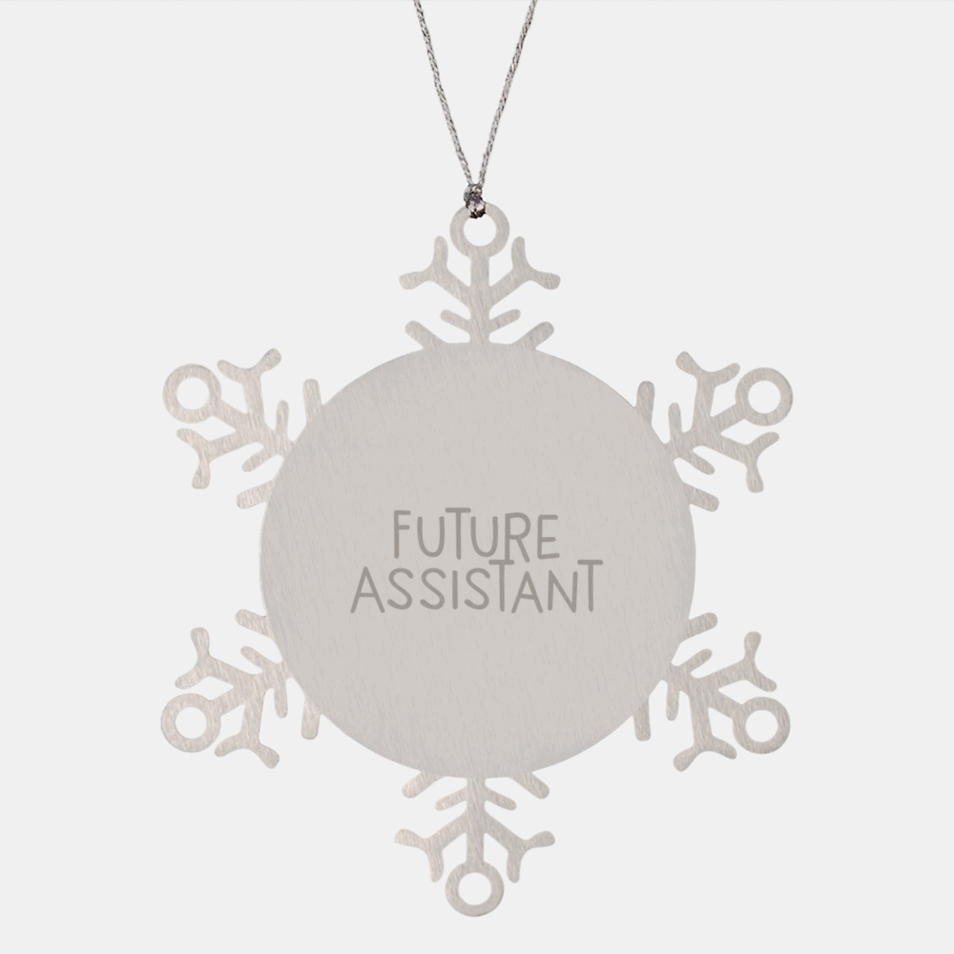 Funny Future Assistant Snowflake Ornament Gifts from Friends, Cute Stainless Steel, Unique Christmas Unique Gifts for Assistant, Inspirational Assistant Desk Decoration - Image 1