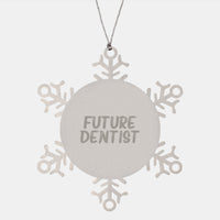 Load image into Gallery viewer, Funny Future Dentist Gifts from Friends and Family - Stainless Steel Snowflake Ornament, Perfect for Dentist Women and Men, Inspirational Christmas Unique Gifts - Image 1
