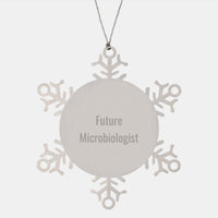 Load image into Gallery viewer, Christmas Unique Gifts for Microbiologist Friend, Funny Quote Snowflake Ornament, Stainless Steel Decorations for Home Office Desk - Image 1
