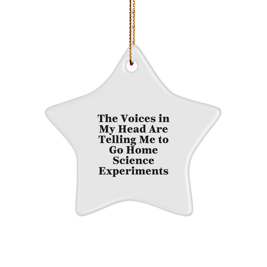 Home Science Experiments Star Ornament Voices Gift for Roommates Memento - Image 1