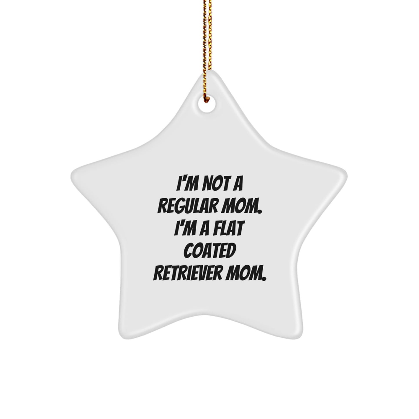 Funny Flat Coated Retriever Dog Mom Gifts, Star Ornament for Flat Coated Retriever Dog Lovers, Christmas Unique Gifts from Mom to Friends - Image 1