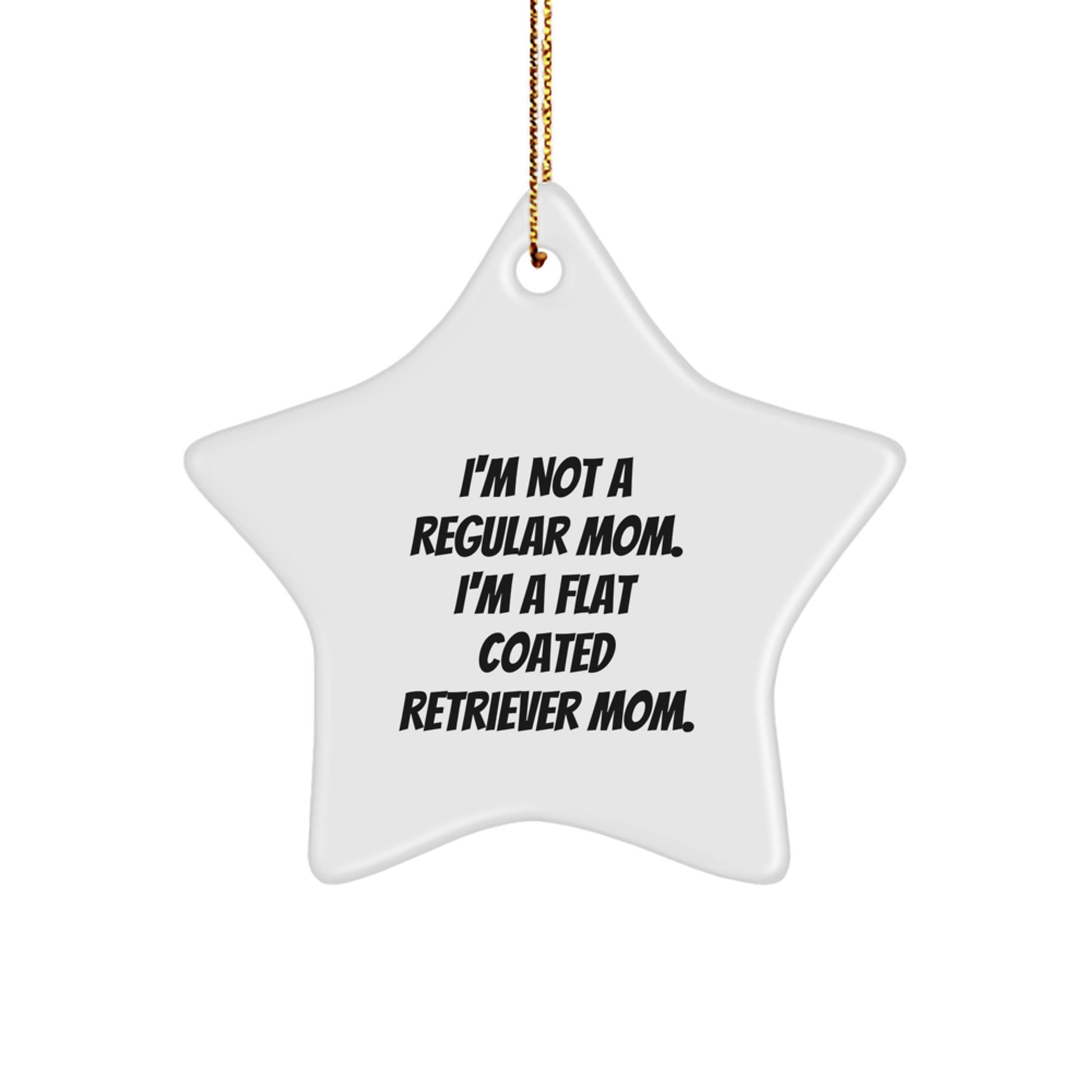 Funny Flat Coated Retriever Dog Mom Gifts, Star Ornament for Flat Coated Retriever Dog Lovers, Christmas Unique Gifts from Mom to Friends - Image 1