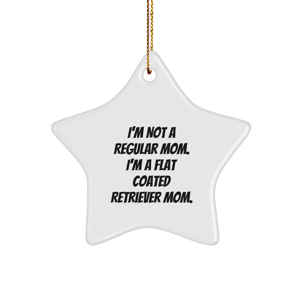Funny Flat Coated Retriever Dog Mom Gifts, Star Ornament for Flat Coated Retriever Dog Lovers, Christmas Unique Gifts from Mom to Friends - Image 1