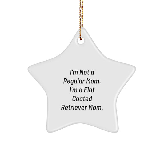 Funny Flat Coated Retriever Dog Mom Gifts for Christmas Unique Star Ornament from Friends - Image 1