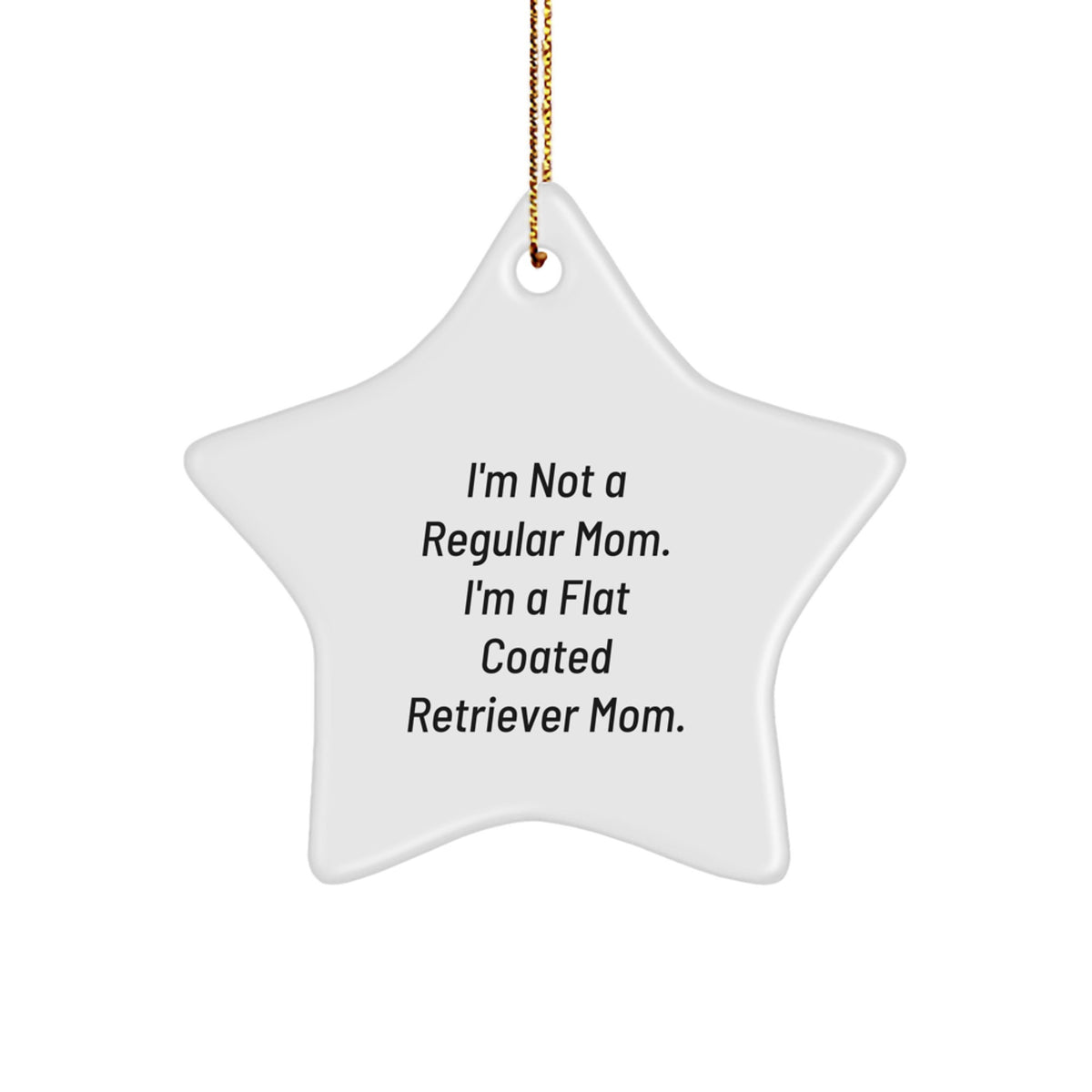 Funny Flat Coated Retriever Dog Mom Gifts for Christmas Unique Star Ornament from Friends - Image 1