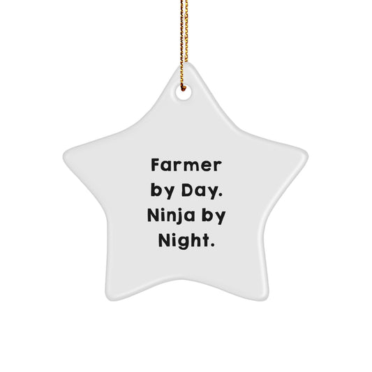 Funny Gifts from Farmer Friends - Star Ornament by Day, Ninja by Night Christmas Decorations - Image 1