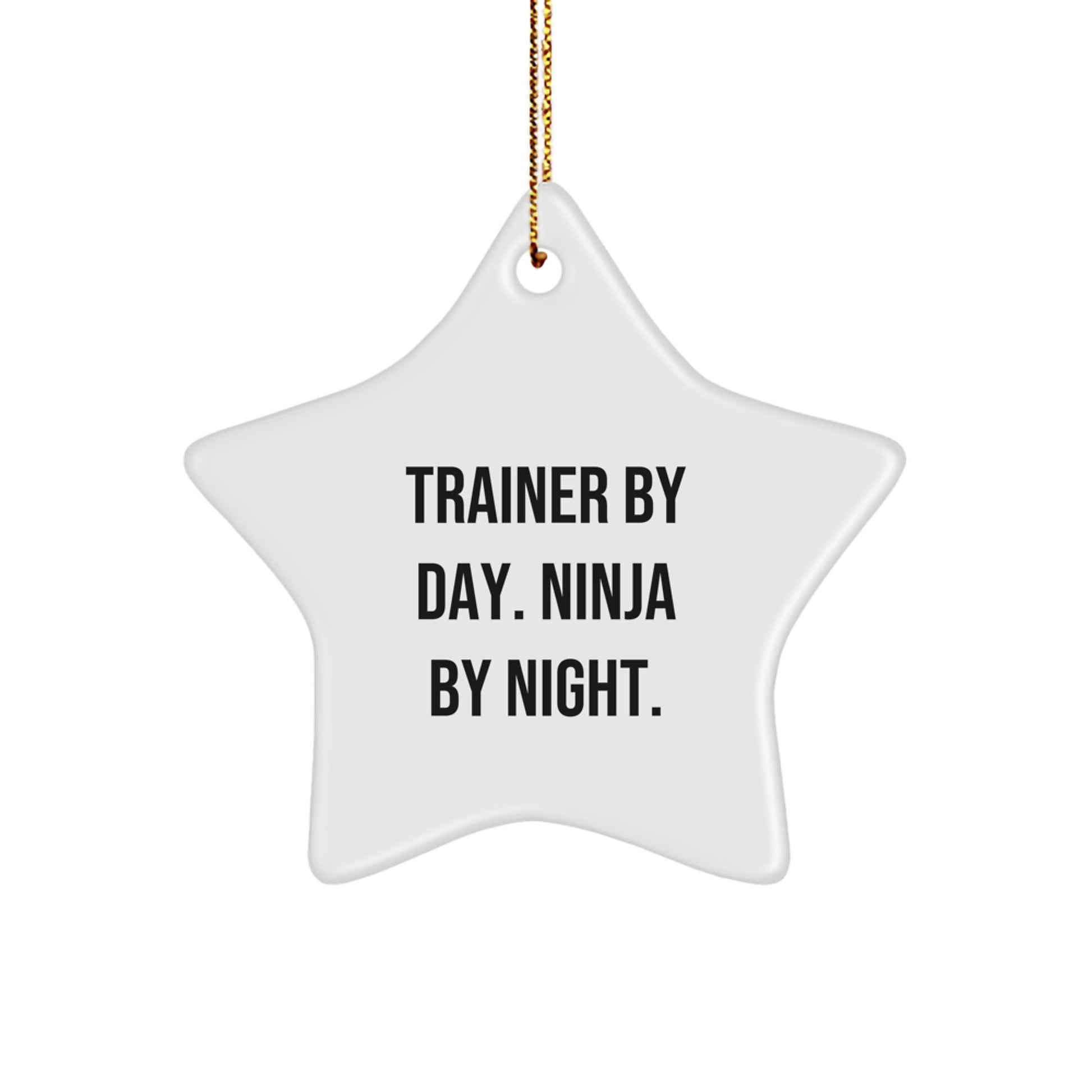 Funny Trainer Star Ornament, Trainer Gifts for Men, Christmas Unique Gifts from Friends, Star Ornament for Trainer Enthusiast - Image 1
