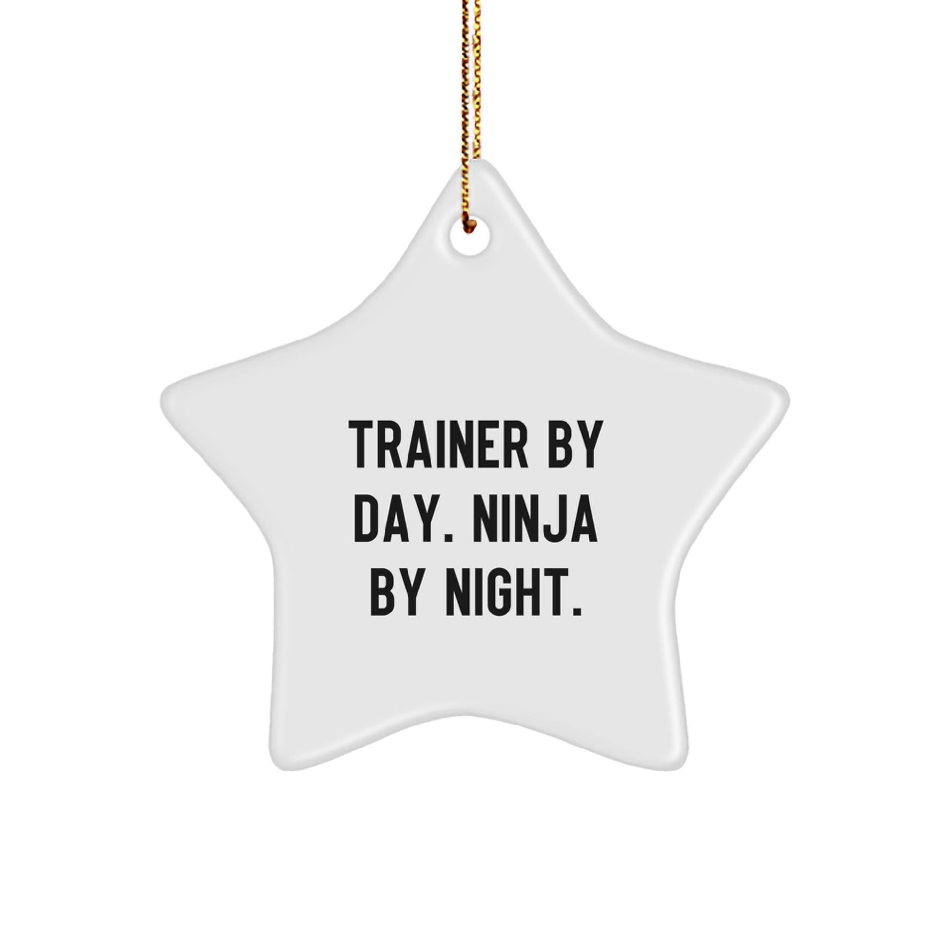 Funny Trainer Star Ornament Gifts from Friends to Trainer for Christmas Unique Decorations - Image 1