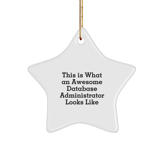 Database Administrator Keepsake Star Ornament for Him Christmas Gift - Image 1