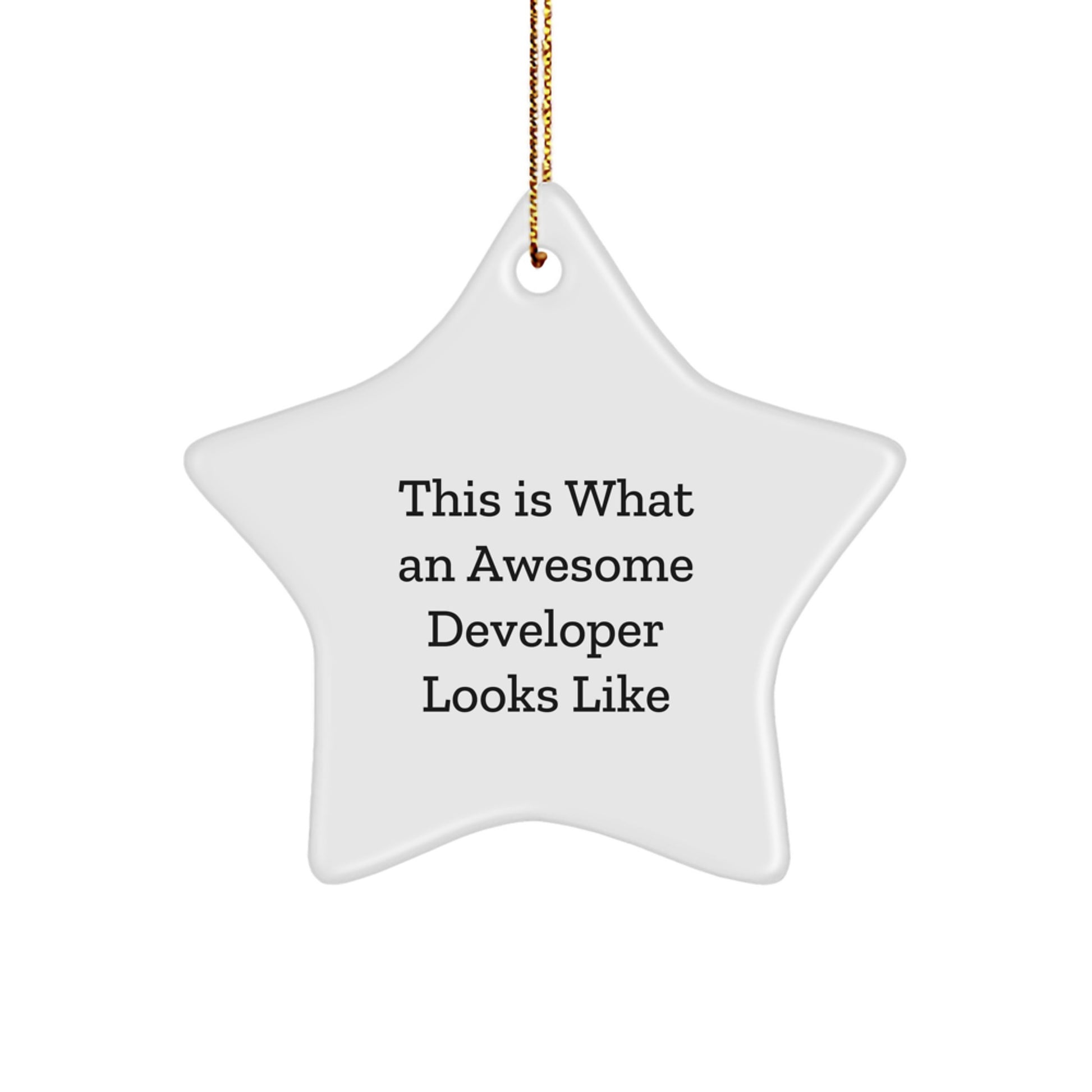Funny Developer Gifts from Men - This Is What An Awesome Developer Looks Like, Star Ornament for Christmas Unique Gifts for Developer Friends - Image 1