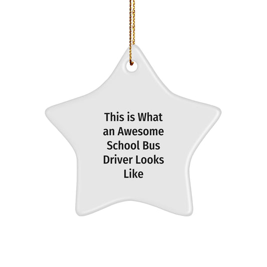 Funny School Bus Driver Christmas Star Ornament Gifts from Friends for Awesome Drivers - Image 1