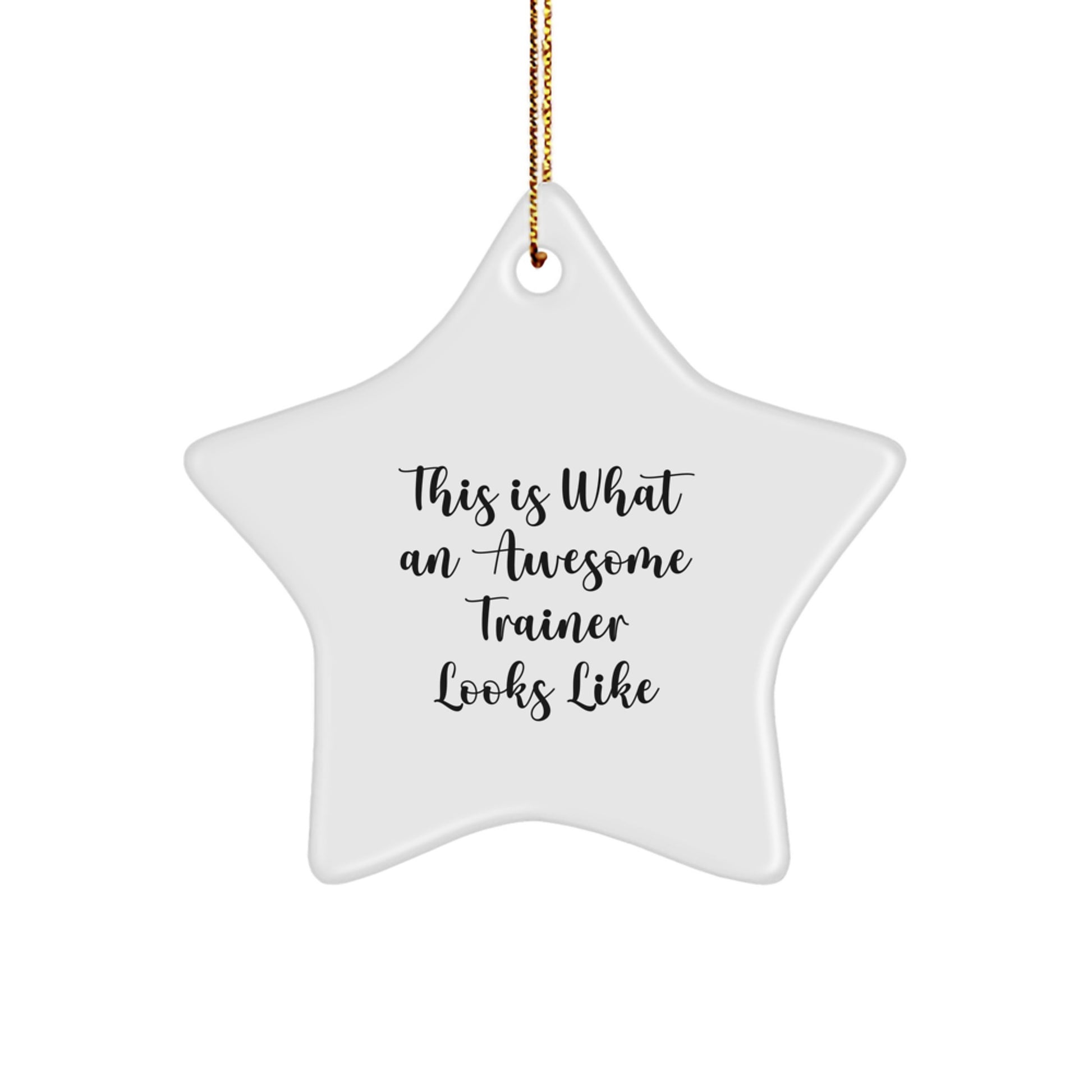 Funny Trainer Gifts - This Is What An Awesome Trainer Looks Like, Star Ornament for Men, Women, Friends, Coworkers, Family - Unique Christmas Unique Gift Ideas - Image 1
