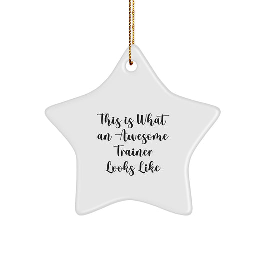 Funny Trainer Gifts - This Is What An Awesome Trainer Looks Like, Star Ornament for Men, Women, Friends, Coworkers, Family - Unique Christmas Unique Gift Ideas - Image 1
